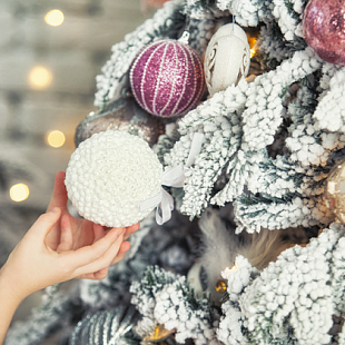 Ёлочка-красавица